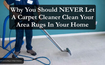 Why You Shouldn’t Have Your Area Rugs Cleaned by Carpet Cleaners or in Your Home