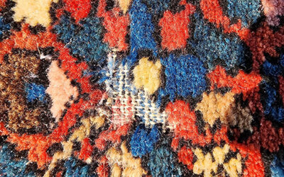 Moth Damage and Your Area Rugs