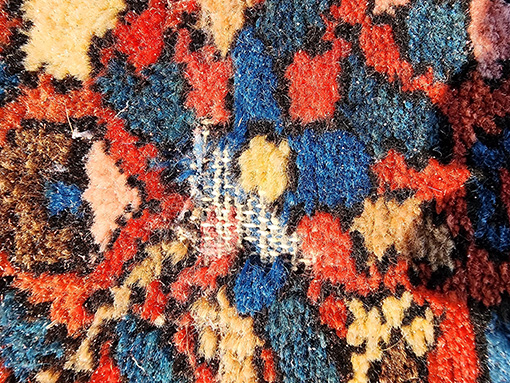 Moth Damage and Your Area Rugs