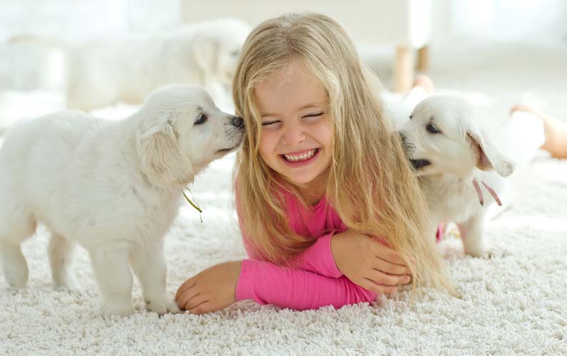 Dogs and small girl on area rug