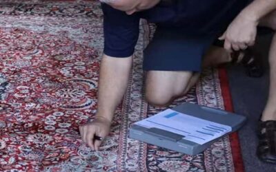 Certified Rug Cleaning in Orlando: Why Kurt Gilbertson Stands Out