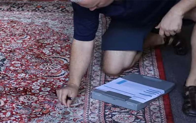 Kurt Inspecting a rug