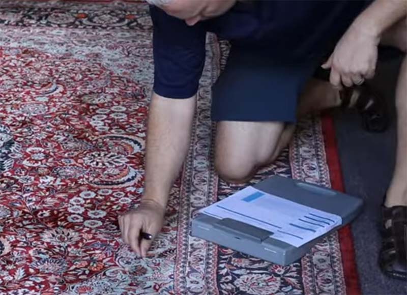 Kurt Inspecting a Rug