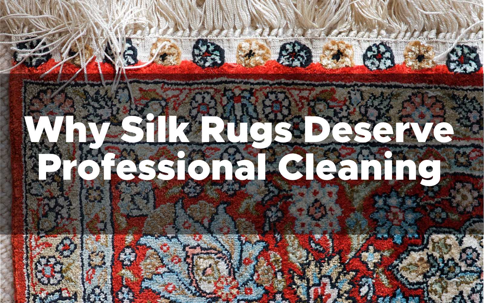 Silk Rugs - First Impressions